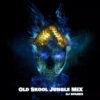 old skool jungle mix 1992-1995