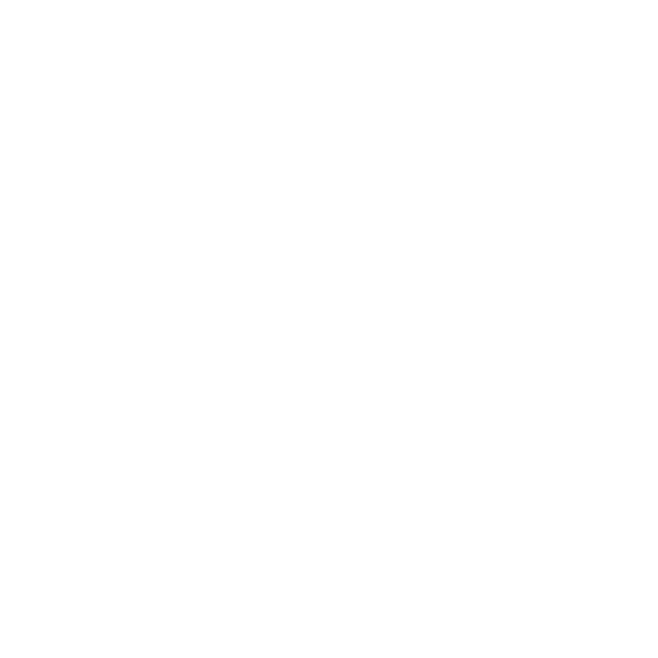 The Best of Both Worlds: jungle and DNB